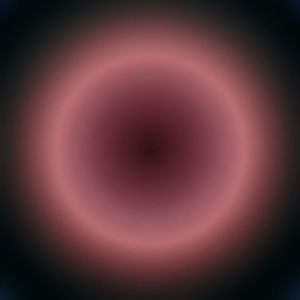 Meet your Posher, Bee